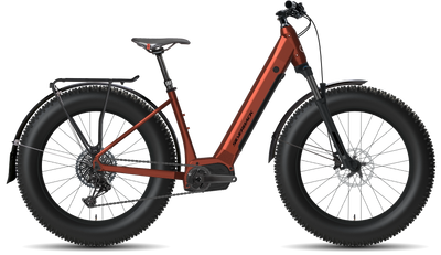 bike summary