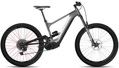 bike summary