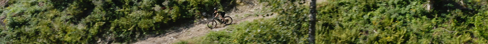 E-Bikes