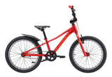 Skid 20 (Gen4)