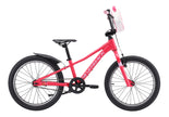 Skid 20 (Gen4) 3