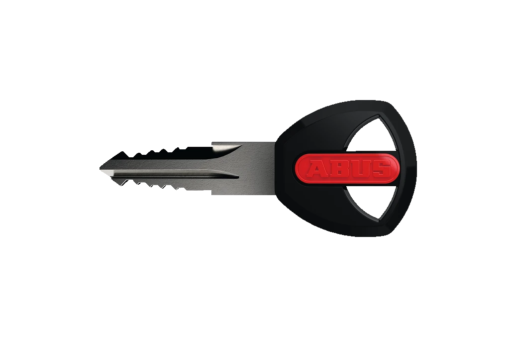 Цепь ABUS IVY 9210/110 2