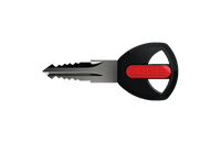 Цепь ABUS IVY 9210/110 2