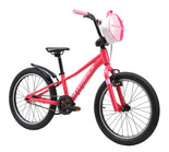 Skid 20 (Gen4) 7