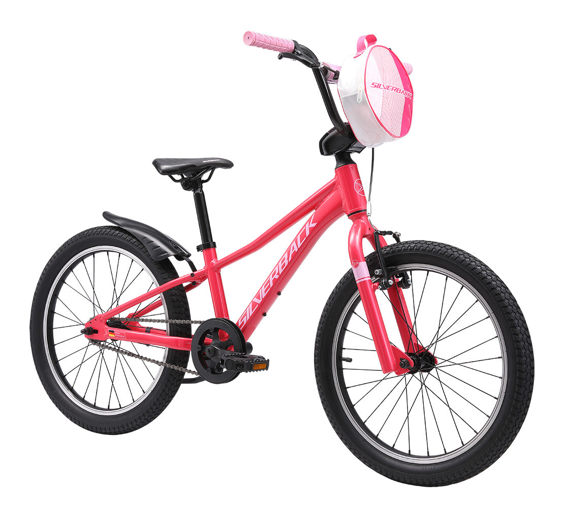 Skid 20 (Gen4) 7