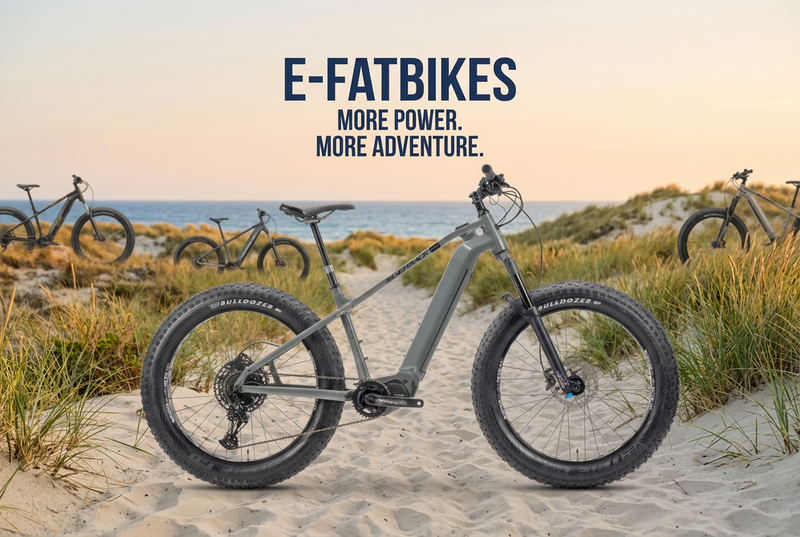 Find Your Electric Fat Bike
