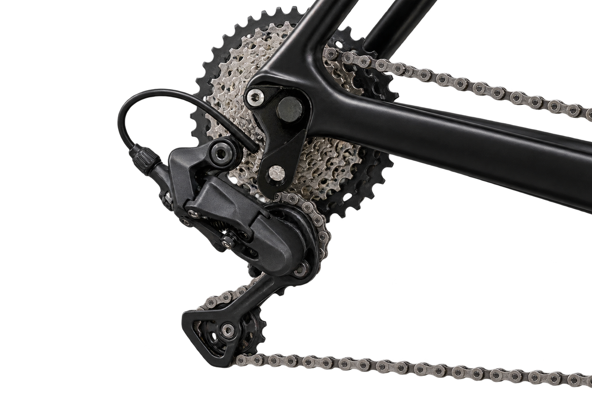 Hanger 21 at a bicycle rear dropout, installation not verified 3