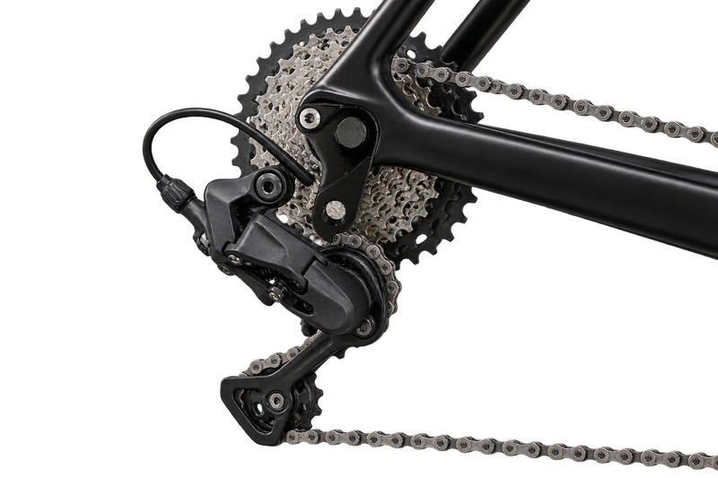 Hanger 21 at a bicycle rear dropout, installation not verified