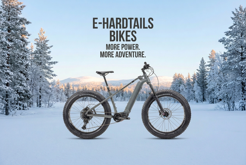 Find Your Electric Hardtail