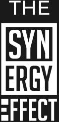 Synergistick Effect logo Image