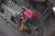 Vaude Aqua Back Light - black, 1 pair
