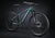 STRIDE COMP mtb
