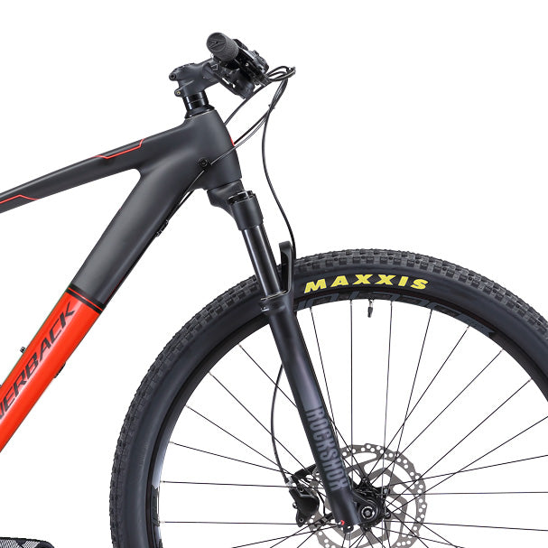 Storm MTB Silverback Bikes 