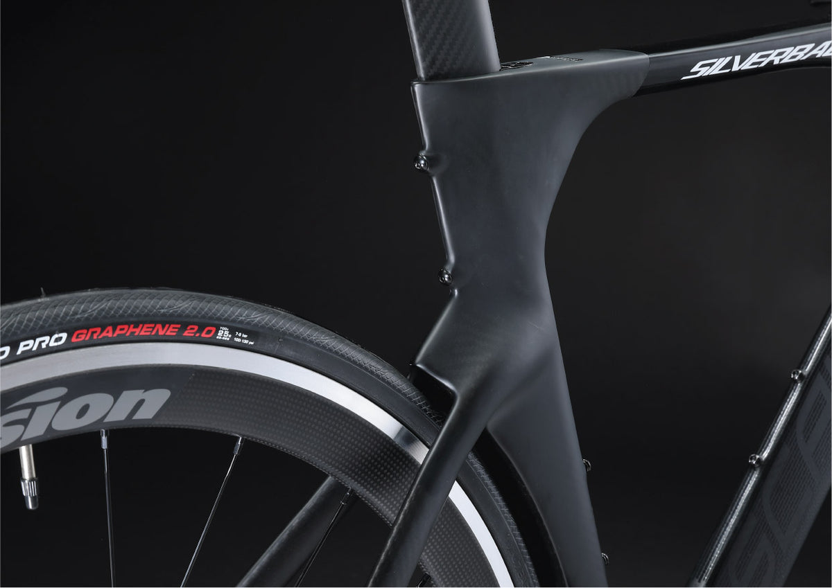 road bike SCALINI TT ULTEGRA