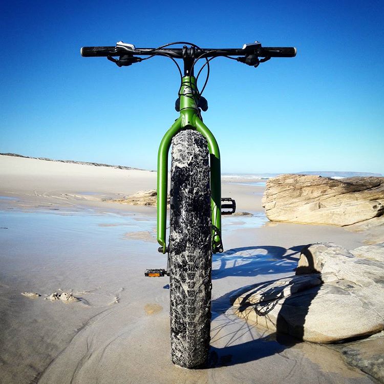 Head Badge - Straight - Steerer