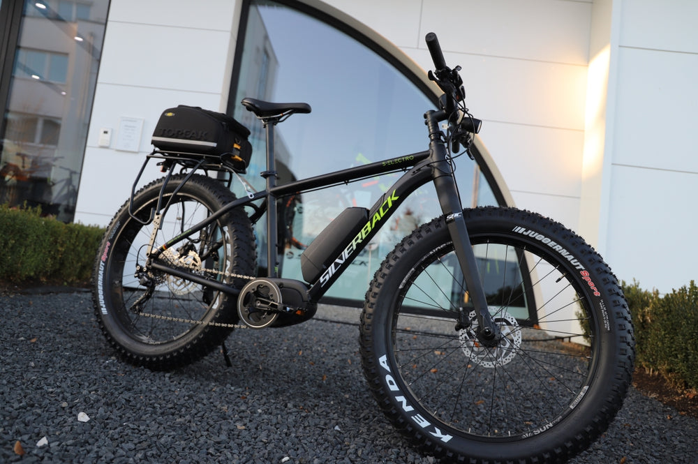 SBC Carbon Fork - Fat Bike